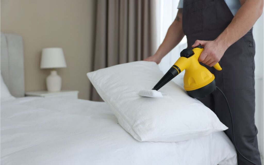 limpieza profesional 